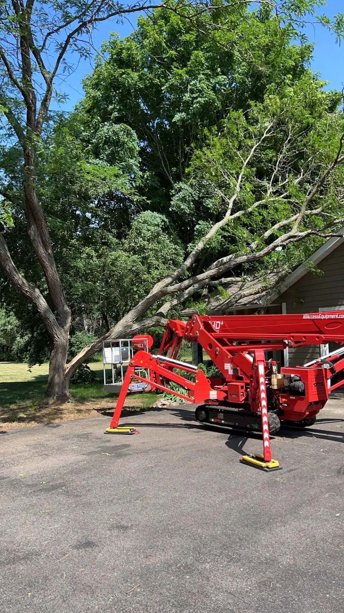 Tree Services