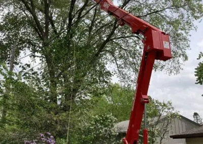 Worker in cherry picker trimming tree branches near overhead power lines