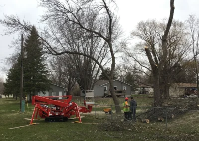 Tree removal crew with red lift and cut branches in residential yard