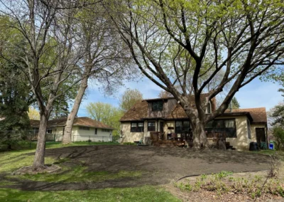 Backyard with large deciduous trees and a two-story house in spring